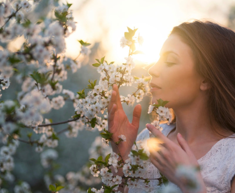 Scents & Fabric Perfumes