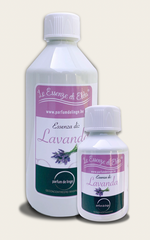 Scents & Fabric Perfumes